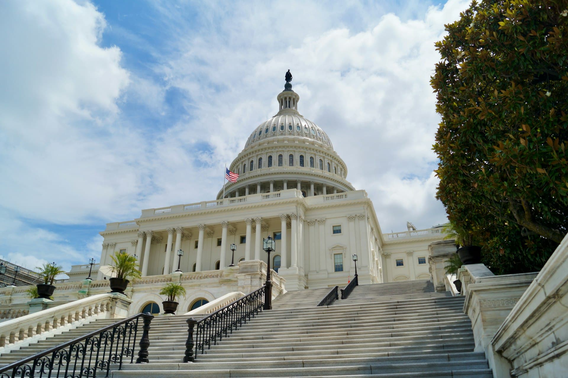 The U.S. Capitol Building viewed from the steps
